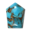 AA Blue Turquoise (Fancy 16X12 mm) 8.37 ctw - Sticky add to cart bar