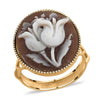 Cameo Tulip