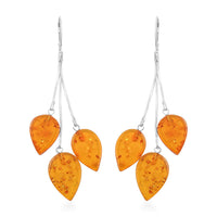 Baltic Amber Autumn Leaf Drop Earrings