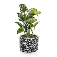 Gray Artificial Succulent Pot (3.93"x3.93"x11.25")