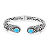 Sleeping Beauty Turquoise