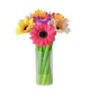 Daisy Flower