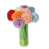 Chrysanthemum Flower