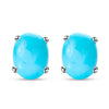 Sleeping Beauty Turquoise