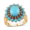 Sleeping Beauty Turquoise & Anthill Garnet