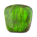 AAAA Canadian Ammolite (Free Free Size) 10.00 ctw - Sticky add to cart bar
