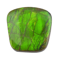 AAAA Canadian Ammolite (Free Free Size) 10.00 ctw
