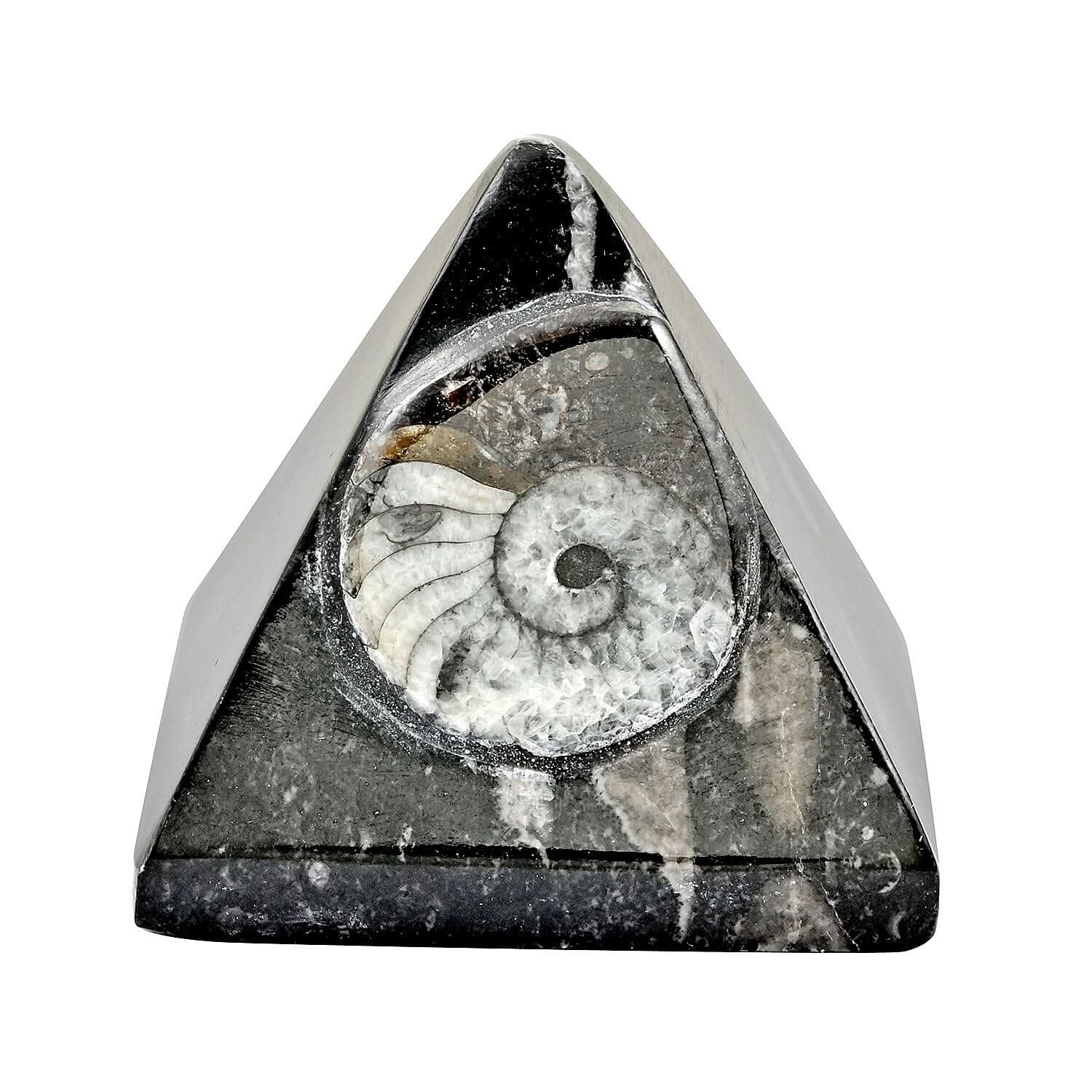 Goniatite Pyramid 2 Approx. 695ctw