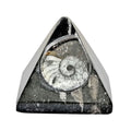 Goniatite Pyramid 2 Approx. 695ctw - Sticky add to cart bar