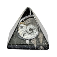 Goniatite Pyramid 2 Approx. 695ctw