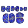 Royal Blue Floral Print