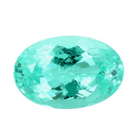 Certified & Appraised AAAA Paraiba Tourmaline (Ovl Free Size) 1.20 ctw