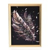Feather
