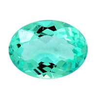 Certified & Appraised AAAA Paraiba Tourmaline (Ovl Free Size) 0.60 ctw