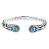 Sleeping Beauty Turquoise