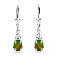 Canadian Ammolite Lever Back Earrings in Platinum Over Sterling Silver