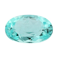 Certified & Appraised AAAA Paraiba Tourmaline (Ovl Free Size) 0.57 ctw