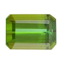 AAAA Green Tourmaline (Oct Free Size) 3.83 ctw