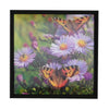 Flower & Butterfly