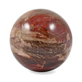 Petrified Wood Sphere 5-8cm -S 1224.5ctw - Sticky add to cart bar