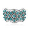 Blue Howlite