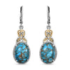 Chestnut Brine Turquoise