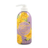Chrysanthemum