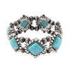 Blue Howlite