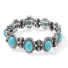 Blue Howlite