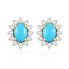 Sleeping Beauty Turquoise