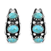 Kingman Turquoise