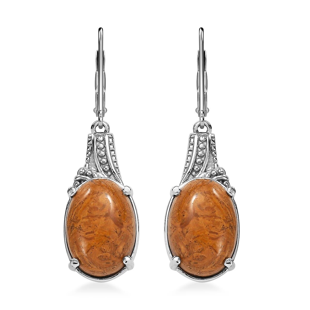 Script Stone 12.30 ctw Earrings in Stainless Steel