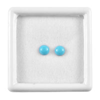 Sleeping Beauty Turquoise Set of 2 (Rnd 5 mm) 0.92 ctw