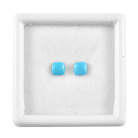 Sleeping Beauty Turquoise Set of 2 (Cush 5x5 mm) 1.16 ctw