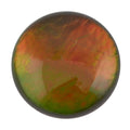 AAAA Canadian Ammolite (Rnd 7 mm) 1.00 ctw - Sticky add to cart bar