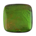 AAAA Canadian Ammolite (Cush 10x10mm) 2.50 ctw - Sticky add to cart bar