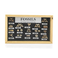 Small Fossil Box - Sticky add to cart bar