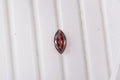 Mozambique Garnet (Mrq 8x4 mm) 0.59 ctw Loose Gemstone - Sticky add to cart bar