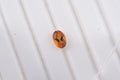 AA Santa Ana Madeira Citrine (Ovl 6x4 mm) 0.38 ctw with Loose Gemstone - Sticky add to cart bar