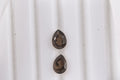 Smoky Quartz Set of 2 (Pear 7x5 mm) 1.15 ctw Loose Gemstone - Sticky add to cart bar
