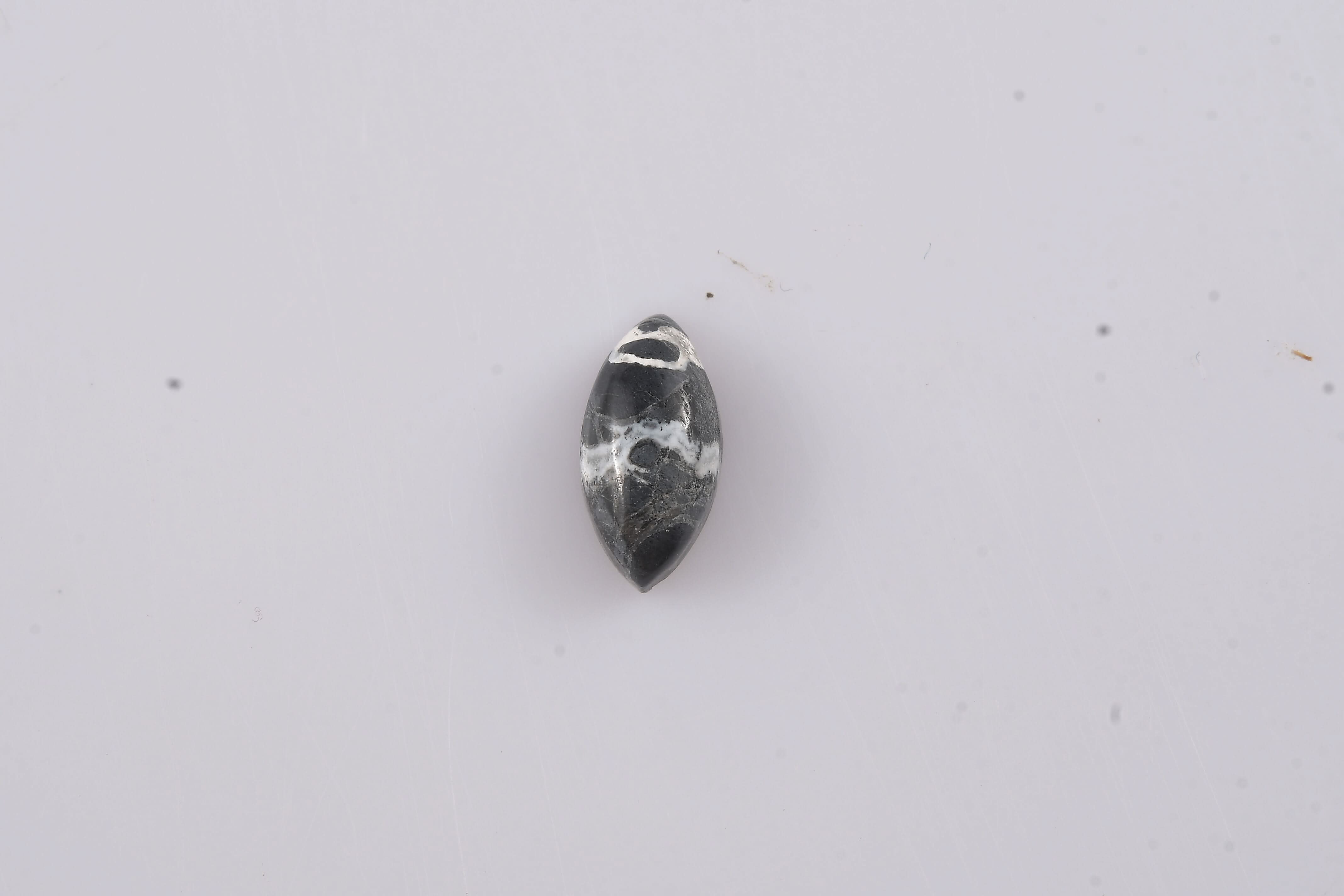 White Buffalo (Mrq 10x5 mm) 1.01 ctw Loose Gemstone