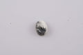 White Buffalo (Oval 7x5 mm) 0.74 ctw Loose Gemstone - Sticky add to cart bar