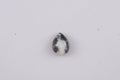 White Buffalo (Pear 9x7 mm) 1.51 ctw Loose Gemstone - Sticky add to cart bar