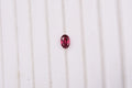Tanzanian Wine Garnet (Oval 6x4 mm) 0.58 ctw Loose Gemstone - Sticky add to cart bar