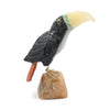 Toucan