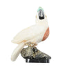 Cockatoo