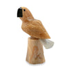 Parrot