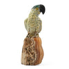 Carved Parrot