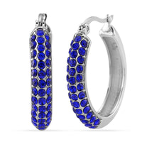 Austrian Crystal Studded Hoop Earrings