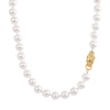 White Shell Pearl